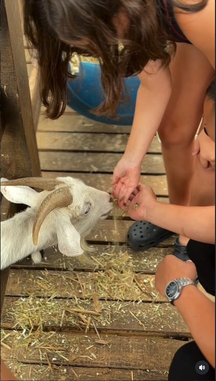 Crianças em contato com uma cabra na Fazenda Vale Imperial.